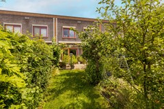 Vrouwenmantel 81  Schoonhoven 063.jpg